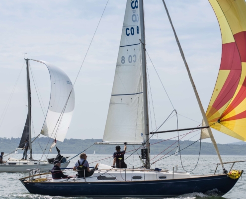 All Contessa regatta