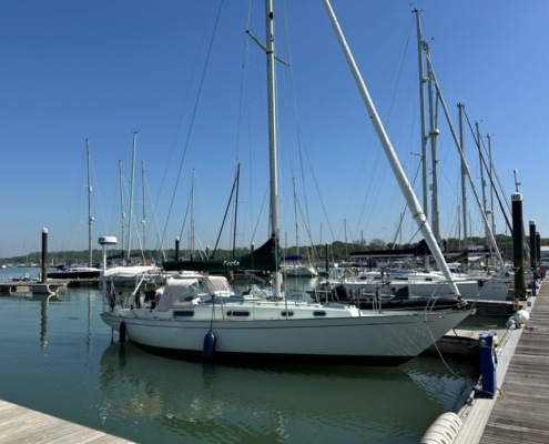 Teela CO32 for sale